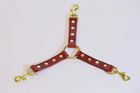 Fixacija oko 3 Karabina crvene boje