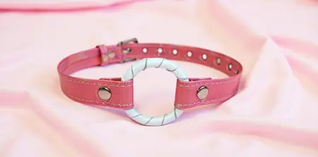 Geg Pink bdsm Barbie