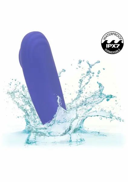 CalExotics Connect Panty Teaser intimni stimulator na upravljanje preko aplikacije crni
