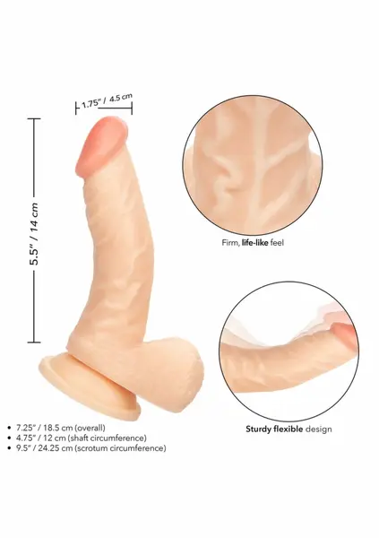 Working Stiff The Doctor anatomski model sa fleksibilnim sistemom 20 cm