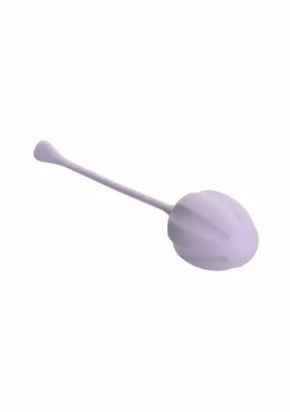 CalExotics Kegel Training 3-Piece Set - Progressive Pelvic Floor System