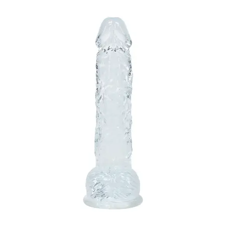 REALROCK Crystal Clear anatomski model od 12.7 cm sa vakuumskim postoljem, providan