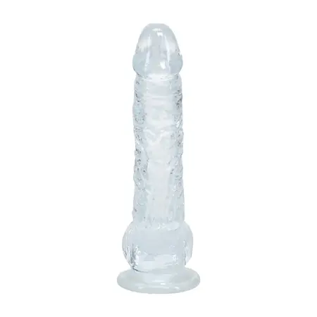 REALROCK Crystal Clear anatomski model od 12.7 cm sa vakuumskim postoljem, providan
