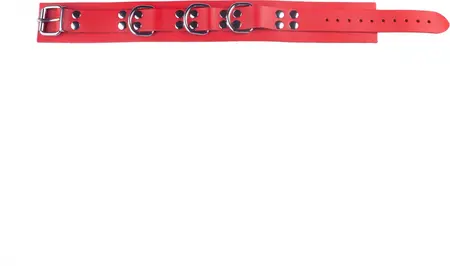 Red Leather Collar Red - Adjustable, Metal Hardware, 38-52 cm