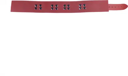 Red Leather Collar Red - Adjustable, Metal Hardware, 38-52 cm