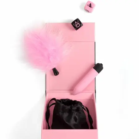 Secret Play Pleasures Box za parove, kockice, vibrirajući metak, pero za škakljanje, roze set