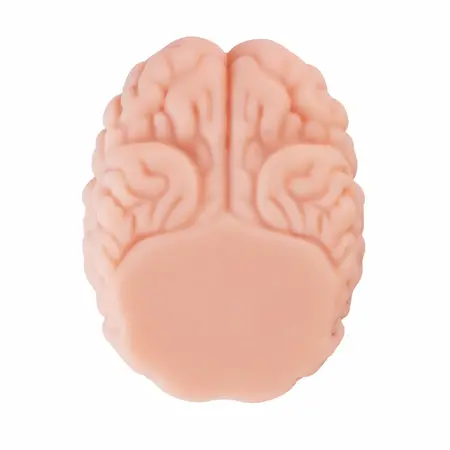 Seiraku Toys XTC Japan Brain Hacker DX intimni stimulator Peach, tekstura sa 7 zona, vrhunski kvalitet