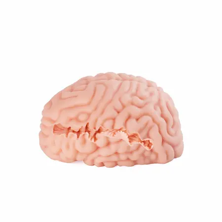 Seiraku Toys XTC Japan Brain Hacker DX intimni stimulator Peach, tekstura sa 7 zona, vrhunski kvalitet