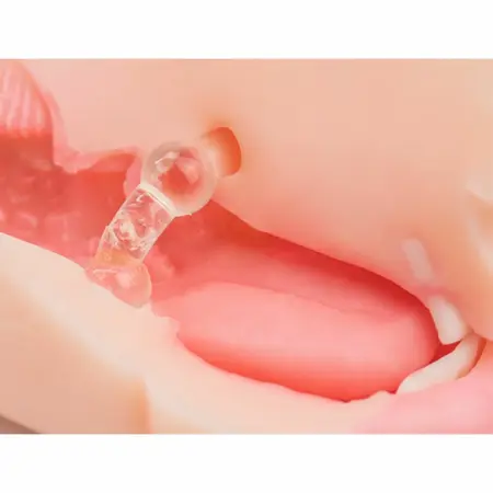 Seiraku Toys XTC Japan NUPU 3 Dual-Entry Intimate Device with Cylindrical Design