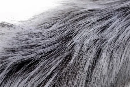 TAILZ Grey Wolf komplet sa repom, silikonski analni čep i uši od veštačkog krzna, sivi