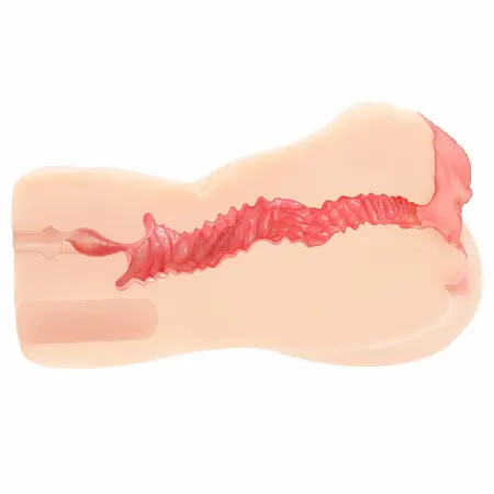 Kokos Edition 004 intimna igračka dvoslojni anatomski model