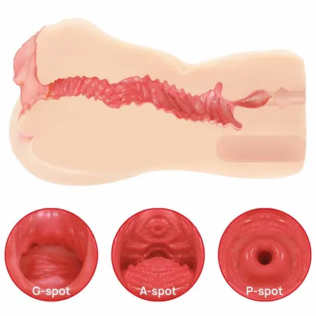 Kokos Edition 004 intimna igračka dvoslojni anatomski model