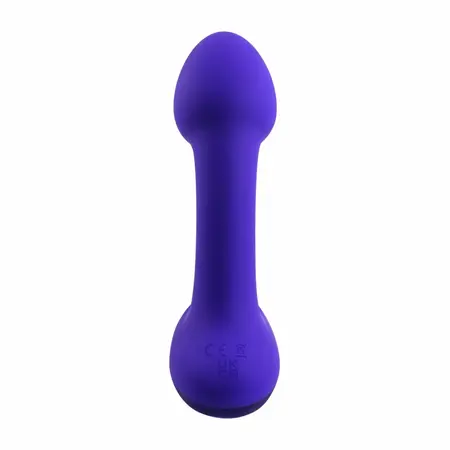 Evolved Novelties Anybody's Plug Purple - Ergonomic Wavy Design Small