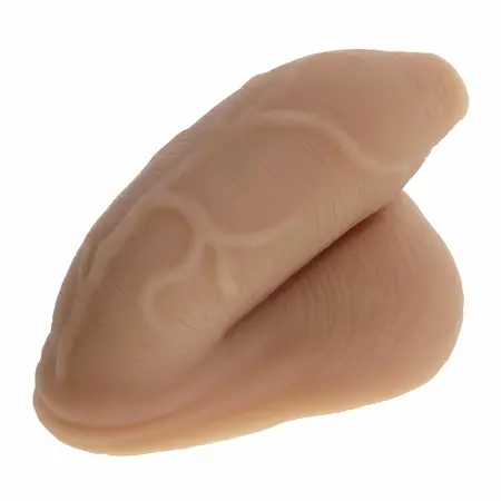 Evolved Novelties The Uncircumcised Packer Model, bež, anatomski dizajn