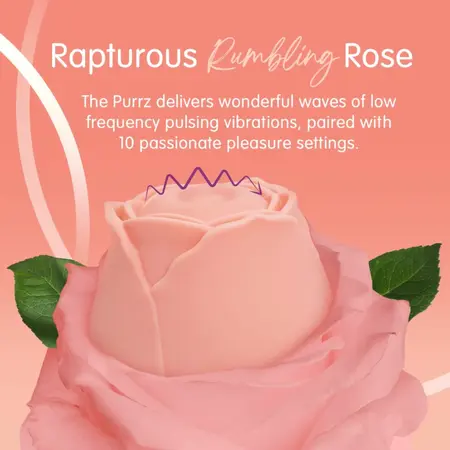 Skins Rose Buddies The Rose Purrz vibrator roze, 10 brzina, punjiv putem USB-a