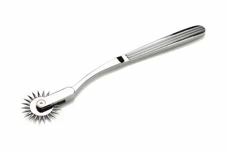 XR Brands Wartenberg Točak Srebrni - Precizni Senzorni Alat, Nerđajući Čelik