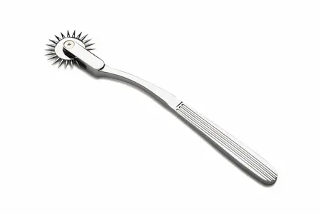 XR Brands Wartenberg Točak Srebrni - Precizni Senzorni Alat, Nerđajući Čelik