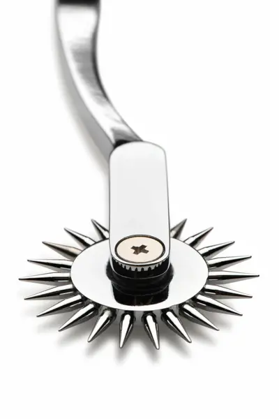 XR Brands Wartenberg Točak Srebrni - Precizni Senzorni Alat, Nerđajući Čelik