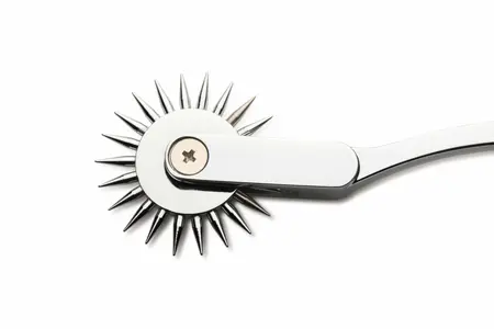 XR Brands Wartenberg Točak Srebrni - Precizni Senzorni Alat, Nerđajući Čelik