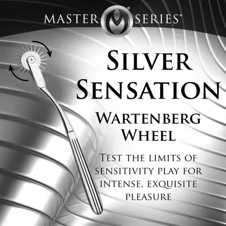XR Brands Wartenberg Točak Srebrni - Precizni Senzorni Alat, Nerđajući Čelik