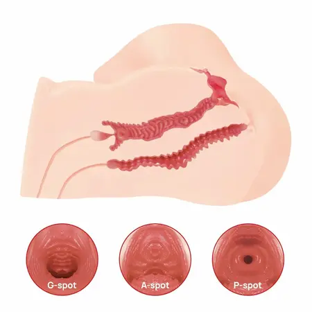 Kokos Maria Intimate Machine onahol, ultra mekani TPE anatomski model