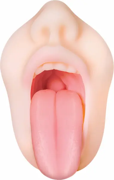 Evolved Real Mouth intimni simulator sa anatomskom teksturom 15 cm