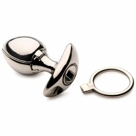 Master Series Vault Stainless Expander Plug with Locking System, Silver