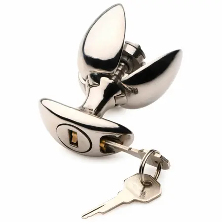 Master Series Vault Stainless Expander Plug with Locking System, Silver