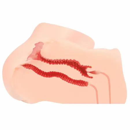 Kokos Hanna intimna mašina anatomski TPE model sa dvostrukom teksturom 21cm