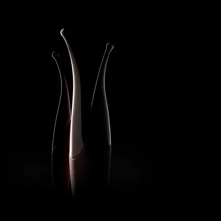 Shots Senzi Precision Vibrator Black: 12 modova vibracije, vodootporan i punjiv preko USB-a