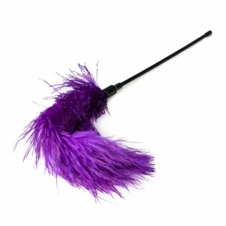 EasyToys pernati tickler ljubičasti - senzualni dodatak za dodir, 27 cm
