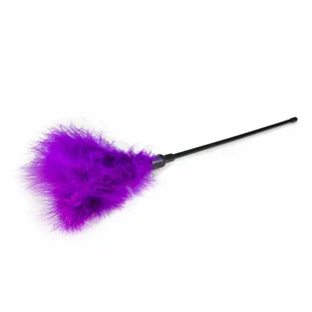 EasyToys Feather Tickler Long Handle Purple - Soft Touch Accessory