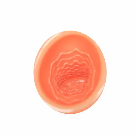 Baile Oral Sex Lover 30V Intimate Device with Suction Cup Adapter