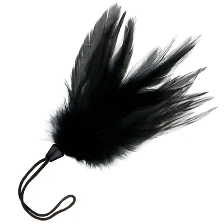 Darkness Black Feather Teaser 20cm - dodatak za senzornu igru