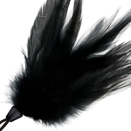 Darkness Black Feather Teaser 20cm - dodatak za senzornu igru