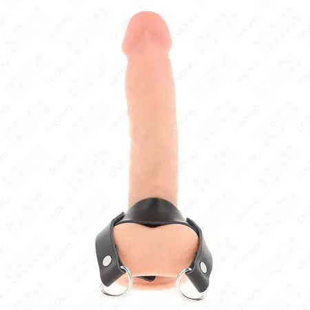 KINK D-oblik potporni prsten 18.5 x 3.3 cm – Anatomski model od nerđajućeg čelika