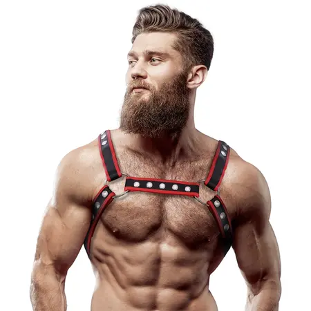 Fetish Submissive Attitude Eco-Leather Chest Bulldog Harness Black/Red