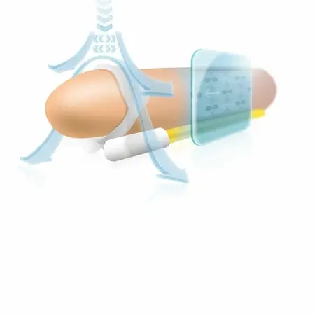 Andromedical Andropenis Mini Anatomski Uređaj Za Trakciju Za Muškarce Ispod 8 cm
