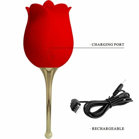 Pretty Love Rose Lover Intimate Rose Massager 12 Modes Red Silicone USB