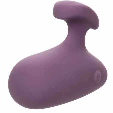 CalExotics Mod Touch Ručni Masažer Ljubičasti 10-Brzinski Vodootporan