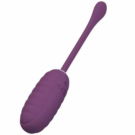 Pretty Love Casper Purple Wireless App-Controlled Vibrating Egg 12 Modes