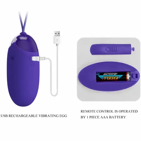 Pretty Love Berger Wireless Intimate Egg Violet 12 Modes Silicone