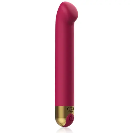 Cici Beauty Premium Silikonski Intimni Stimulator 10 Modova USB Vodootporan