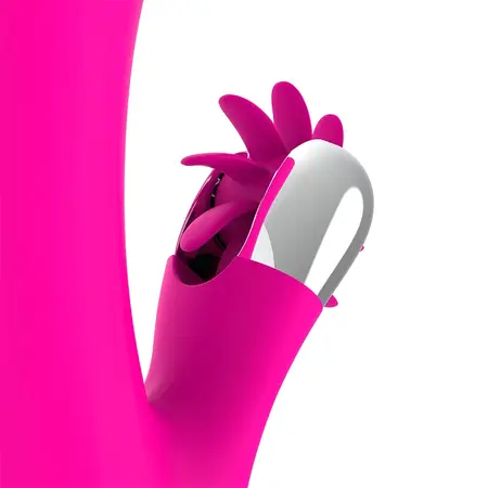 Diversia Bunny Vibrating 24 cm – Ergonomski Silikonski Intimni Uređaj USB