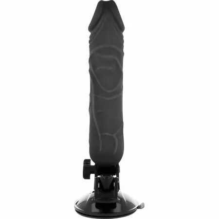 BASECOCK Remote-Controlled Vibrating Model Black 20 cm x 4 cm TPE