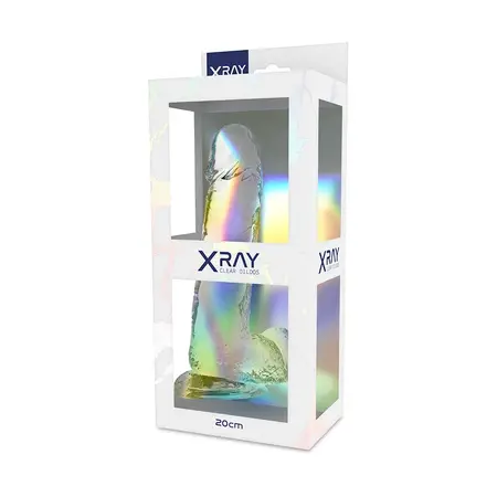 XRAY Prozirni 20cm Anatomski Model sa Bazom, Transparentni Jelly Materijal