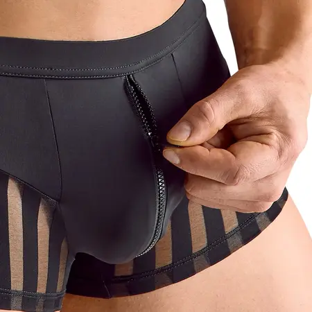 Svenjoyment Muške pantalone od mikrofibera S sa prozirnim umecima u obliku traka