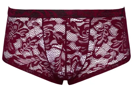 Svenjoyment Lace Design Transparent Men's Pants Dark Red L