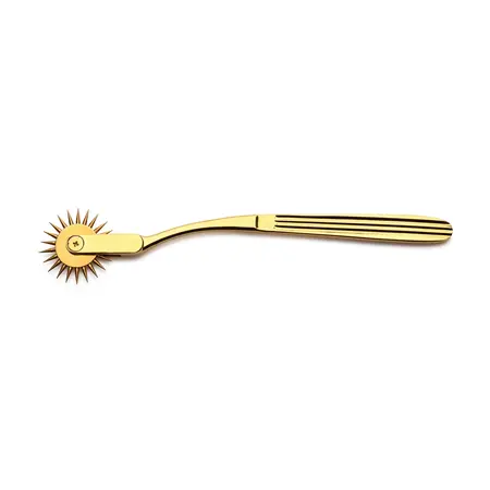 Gold Sensation Wartenberg Tocak od Nerđajućeg Čelika Zlatni 18cm