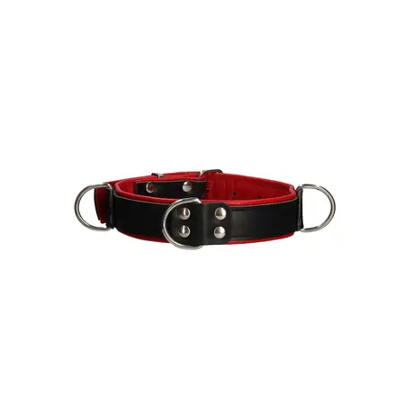Kiotos Deluxe Adjustable Bondage Collar - One Size, Black, Stainless Steel